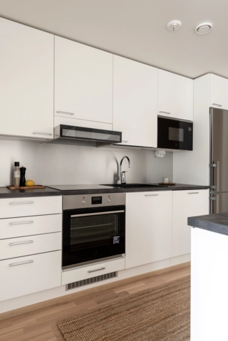 Swegon CASA Blues Cooker hood
