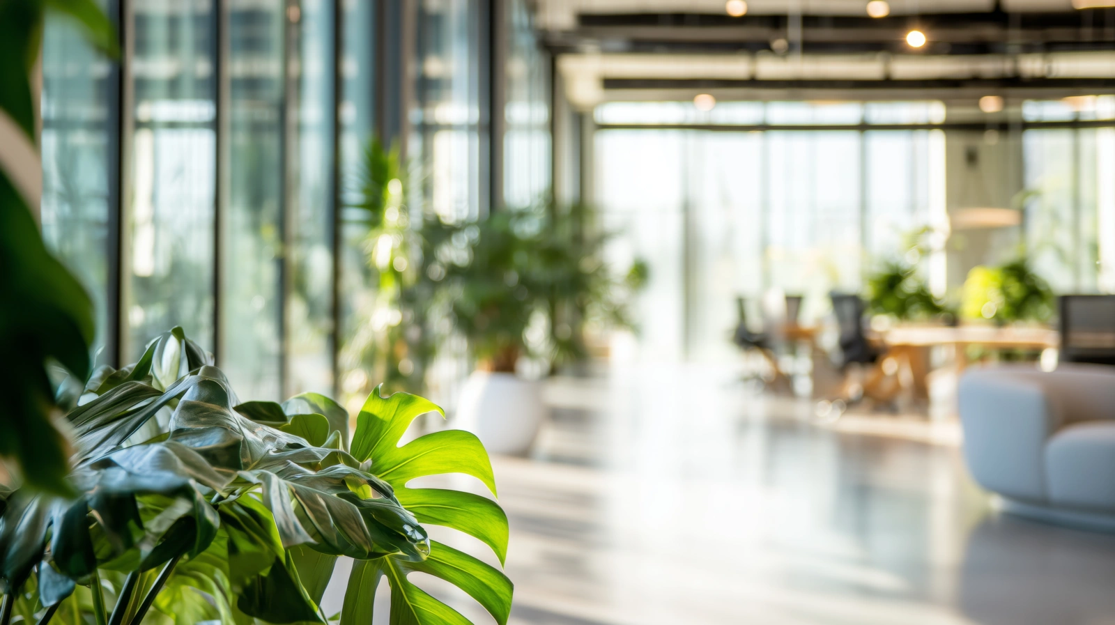 Zo maken wij impact op de gebouwde omgeving